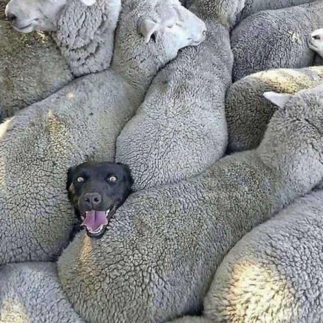 Посмеялся сам - поделись с другом!!!