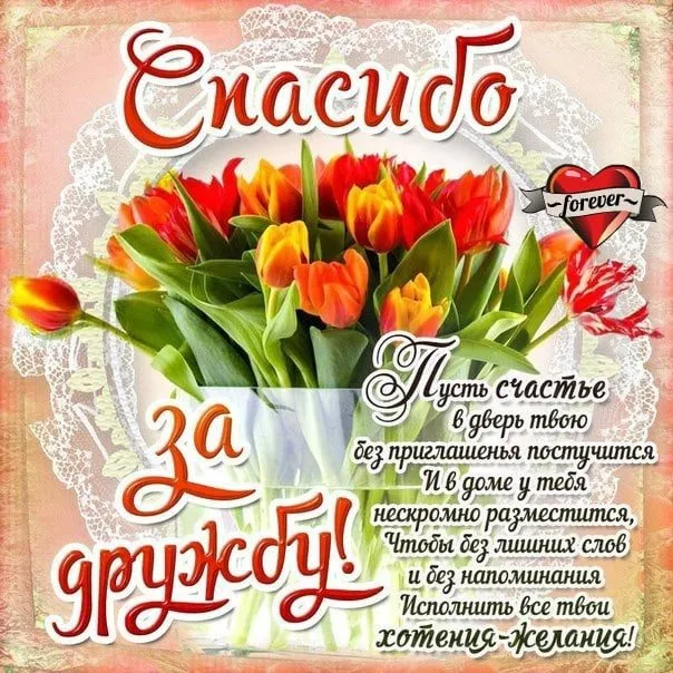 Кафе «У пани Сони»