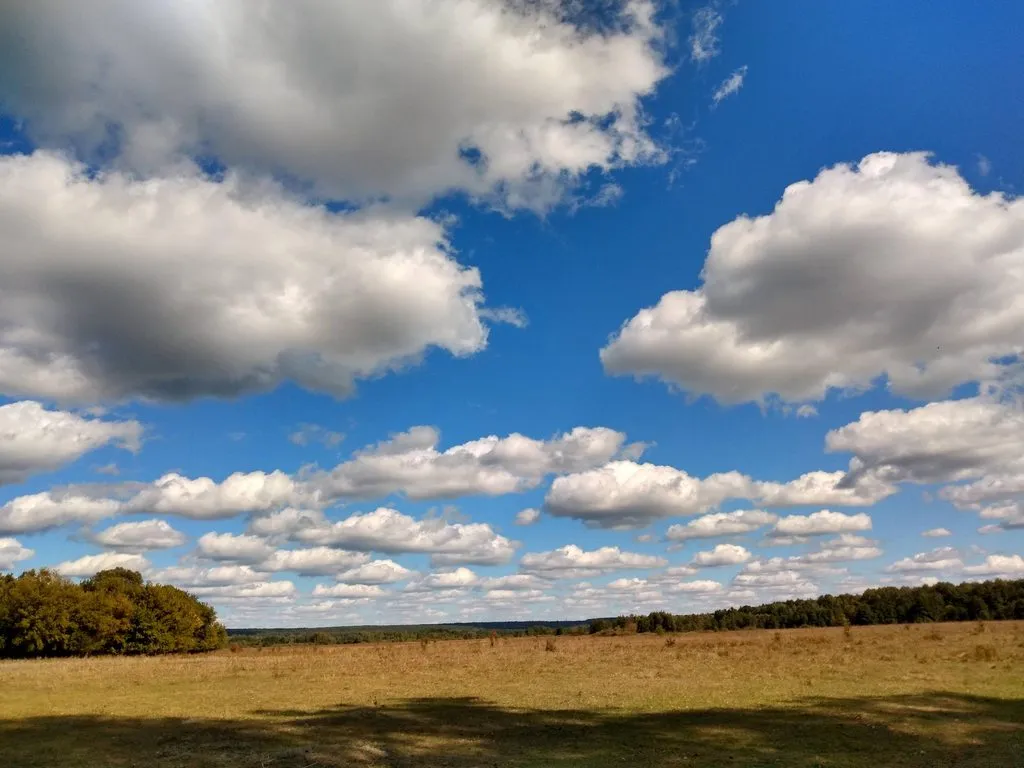 Такое разное небо