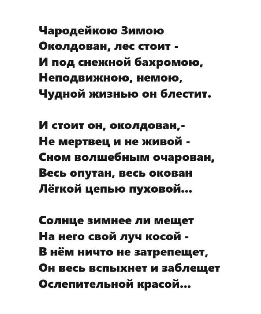 Любимые стихи