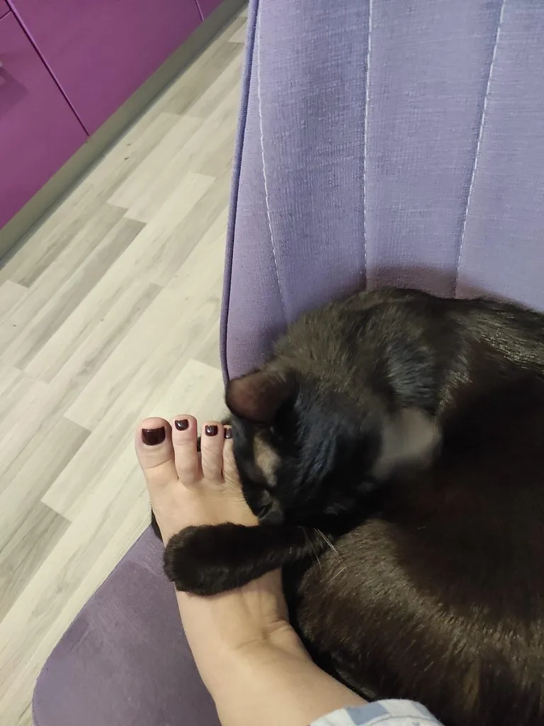 Tapтaлeтки & Ко