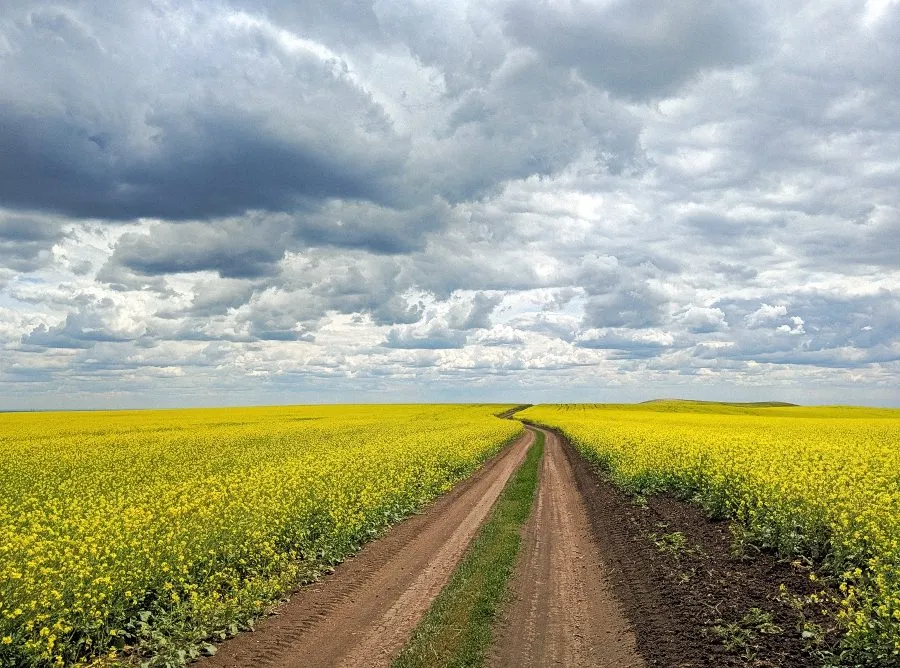 Фотонастроение