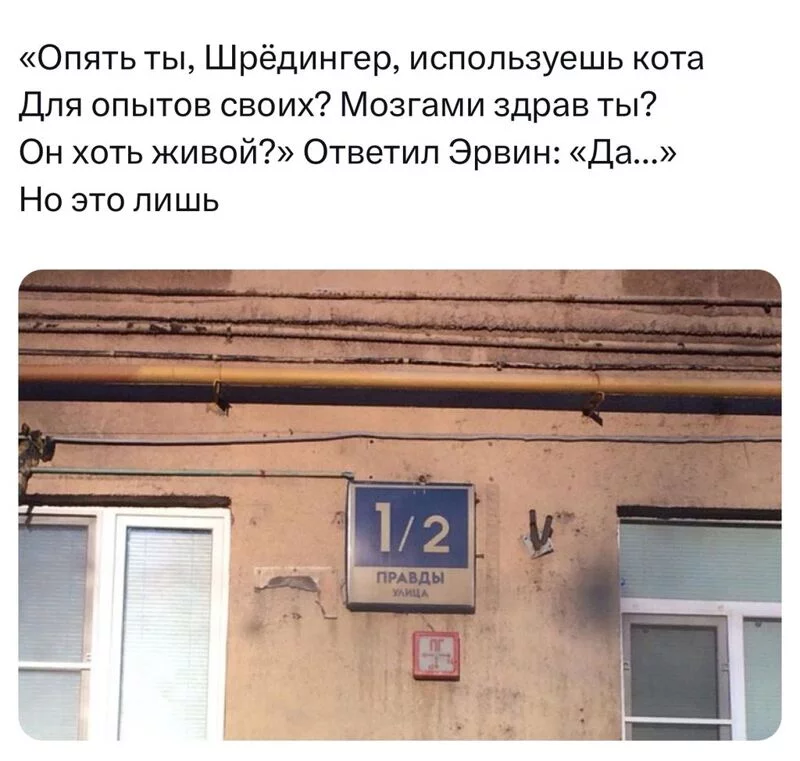 Всюду рифмы