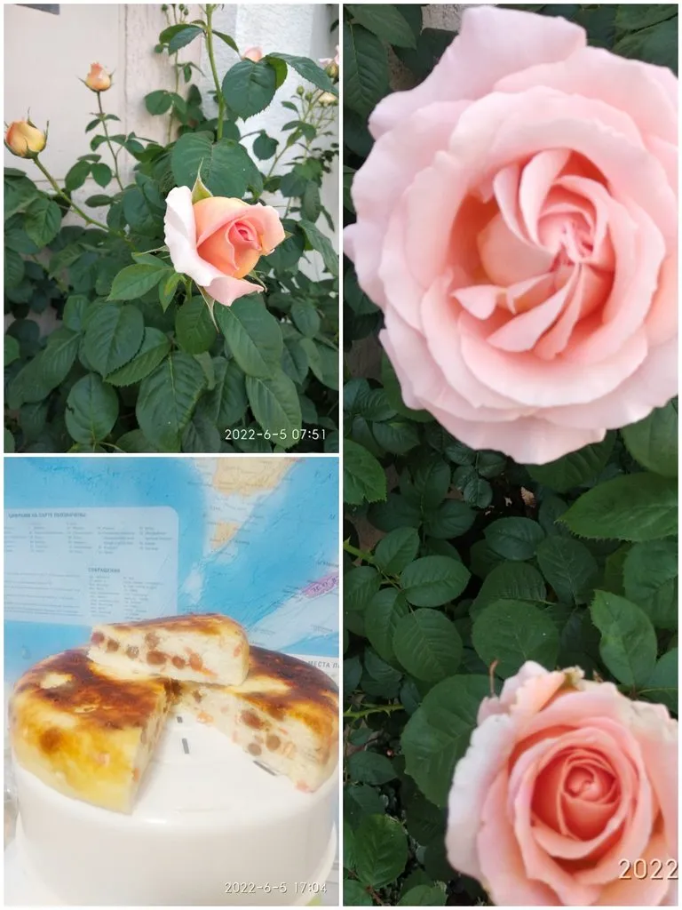 Кафе «У пани Сони»