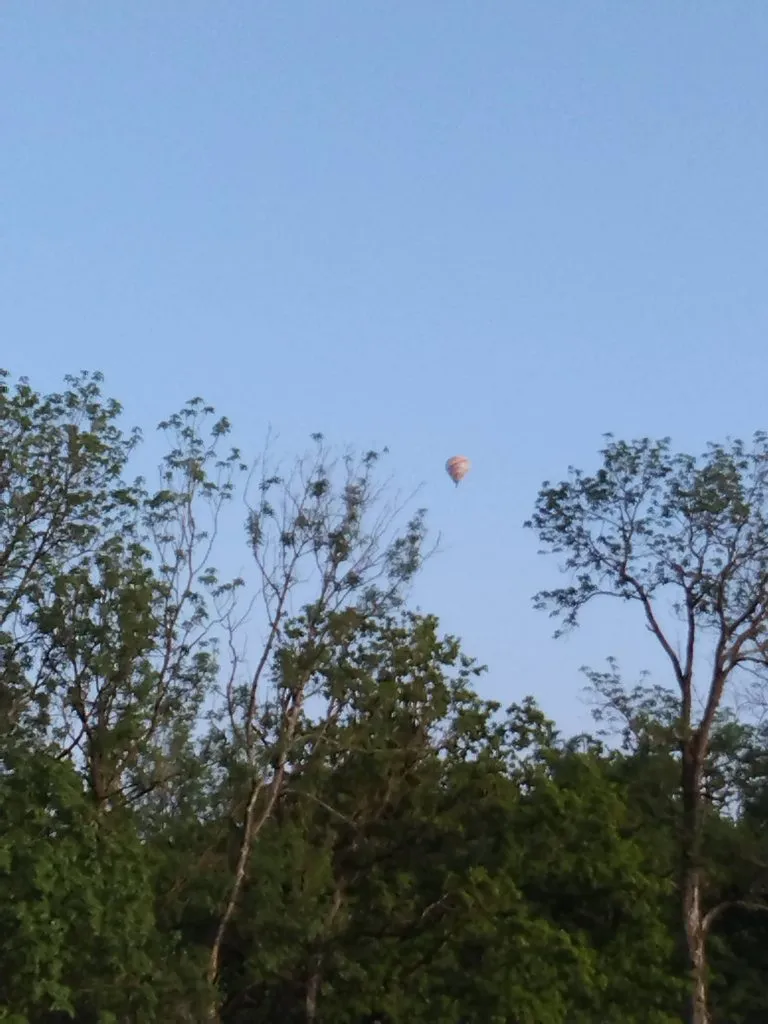 Чайная беседка