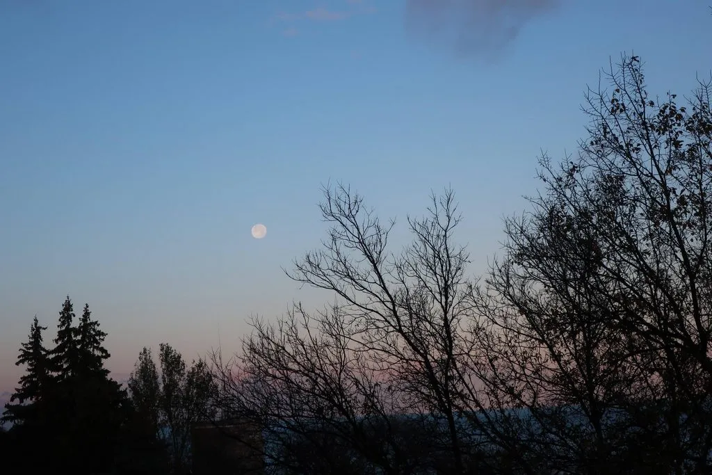 Такое разное небо