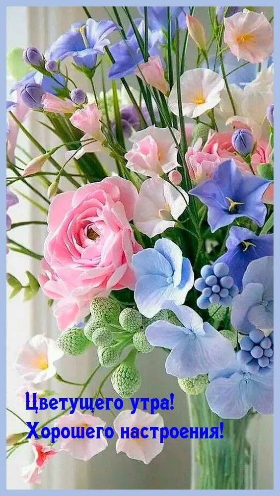 Tapтaлeтки & Ко