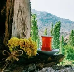 Чайная беседка