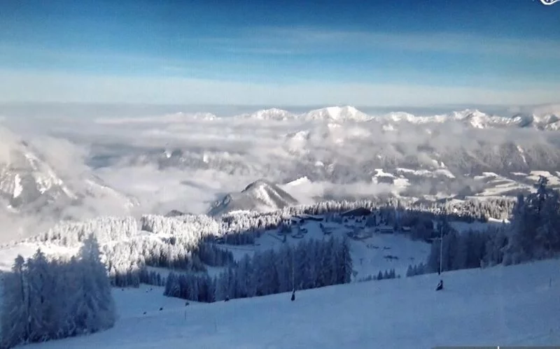 Чайная беседка