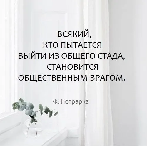 Можно ли прожить на одну пенсию? (расчеты)