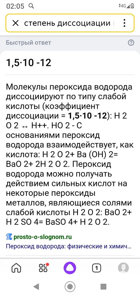 Закваска «Мини»