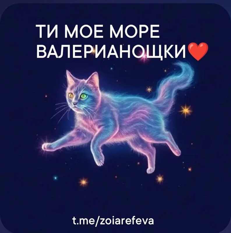 Кошичкина полиция