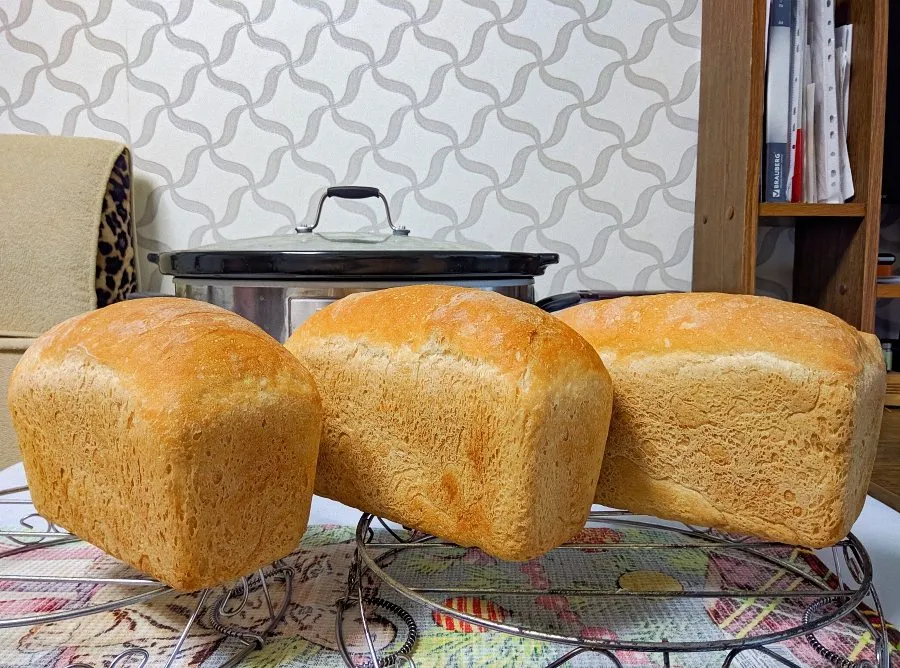 «Вечные дрожжи», картофельно-хмелевые (Закваска без муки). Рецепты выпечки.