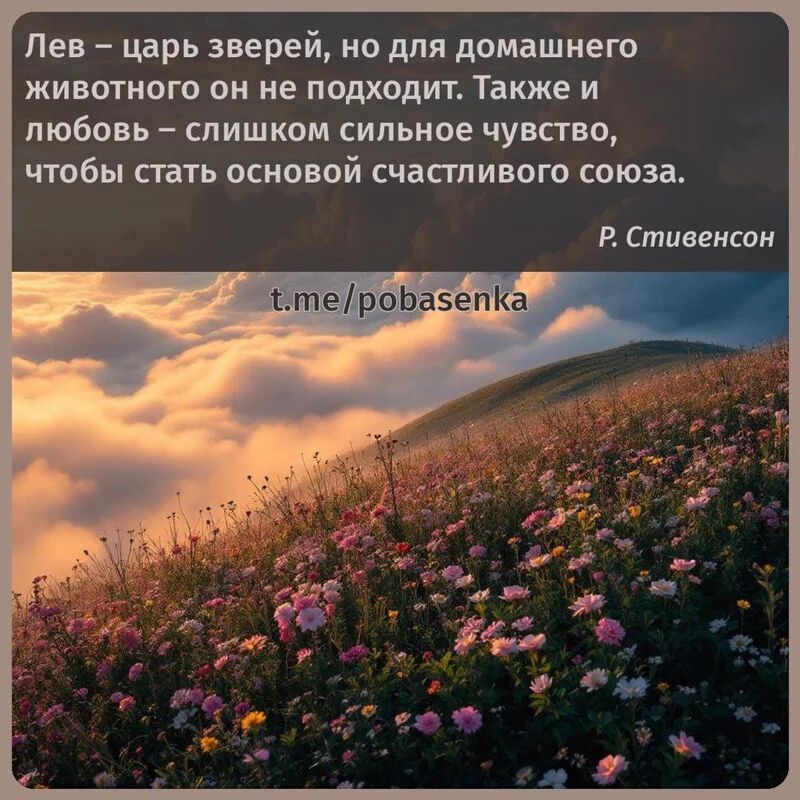 «Лев царь зверей, но для домашнего животного он не подходит. Также и любовь слишком сильное чувство, чтобы стать основой...» height="550" width="550"