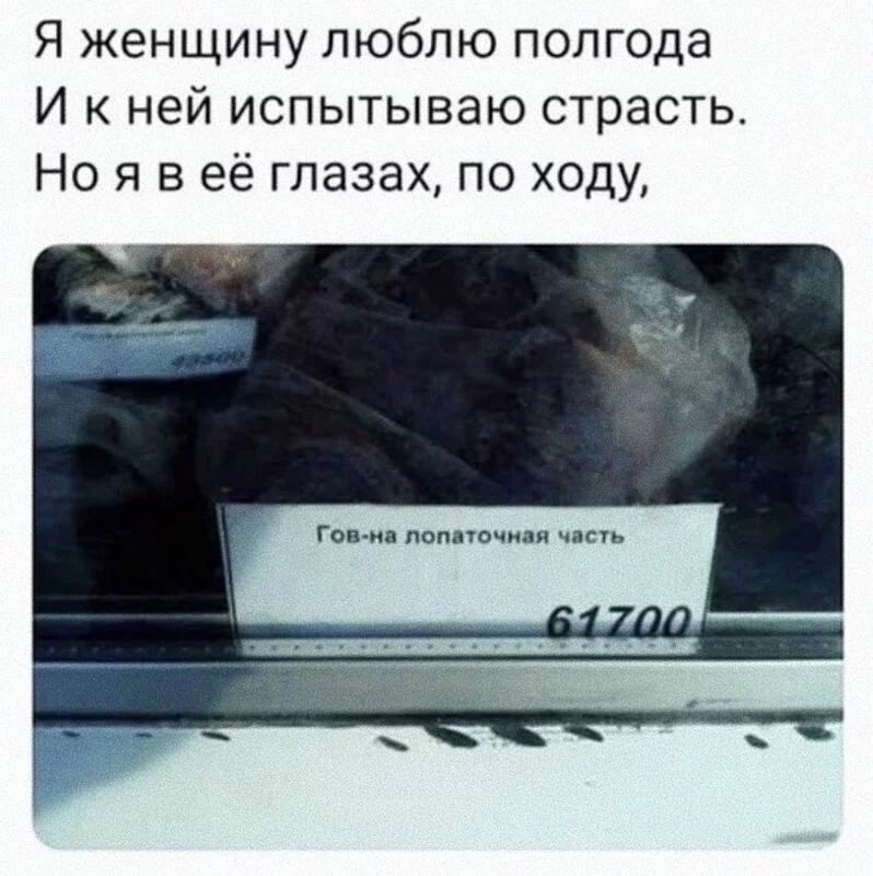 Всюду рифмы