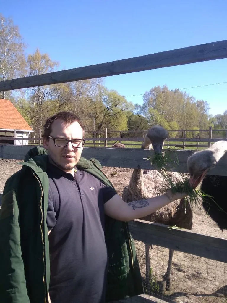 Чайная беседка