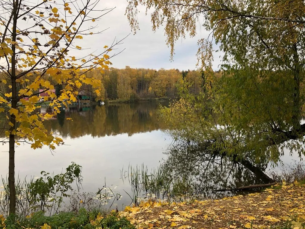 Чайная беседка