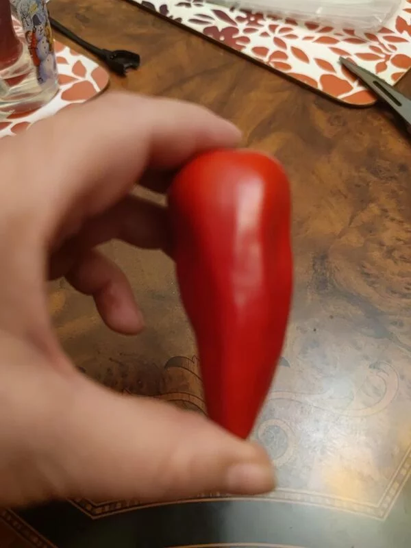 Зеленые любимцы