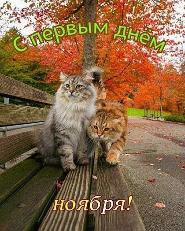 Кафе "У пани Сони"