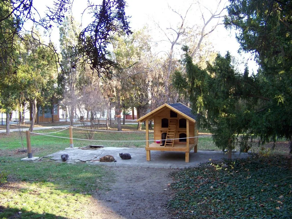 Чайная беседка