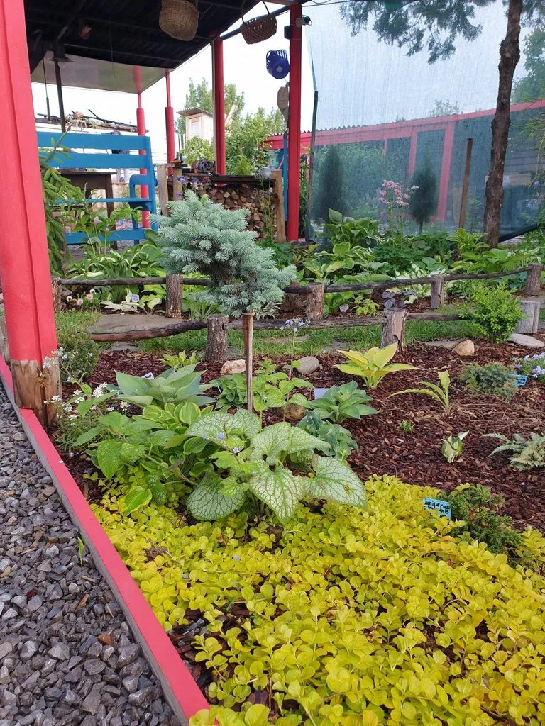 Чайная беседка