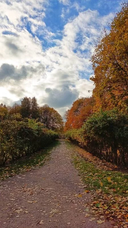 Такое разное небо