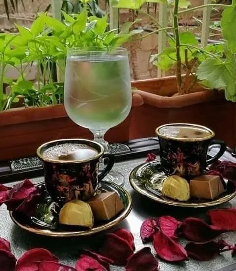 Tapтaлeтки & Ко