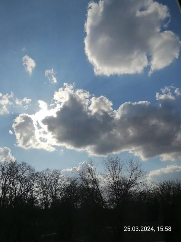 Чайная беседка