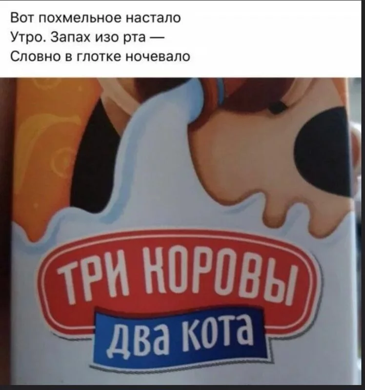 Всюду рифмы