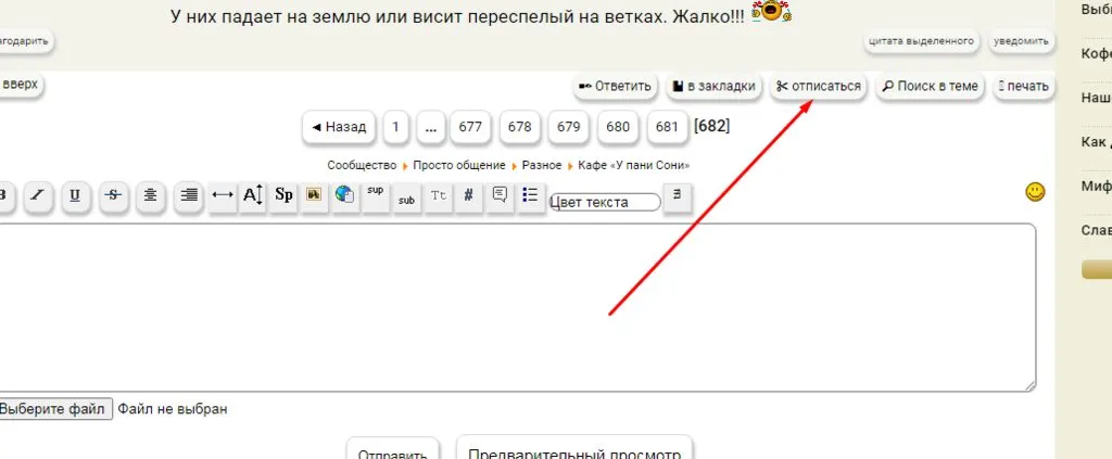 Кафе «У пани Сони»