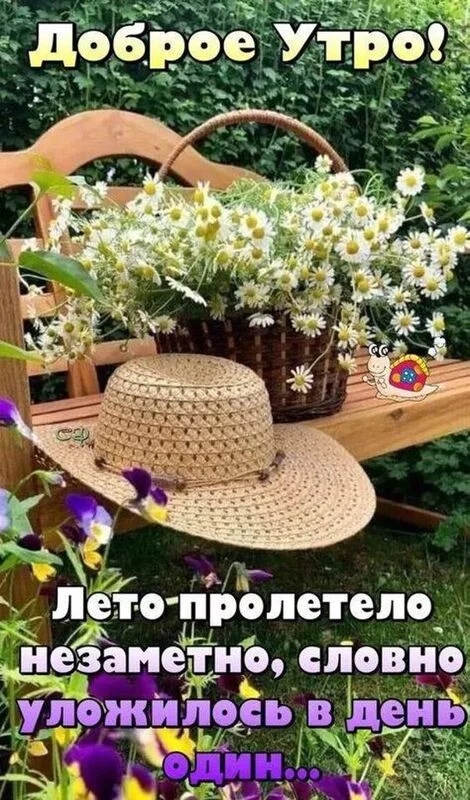 Чайная беседка