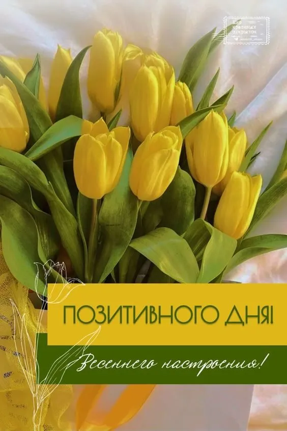 Tapтaлeтки & Ко