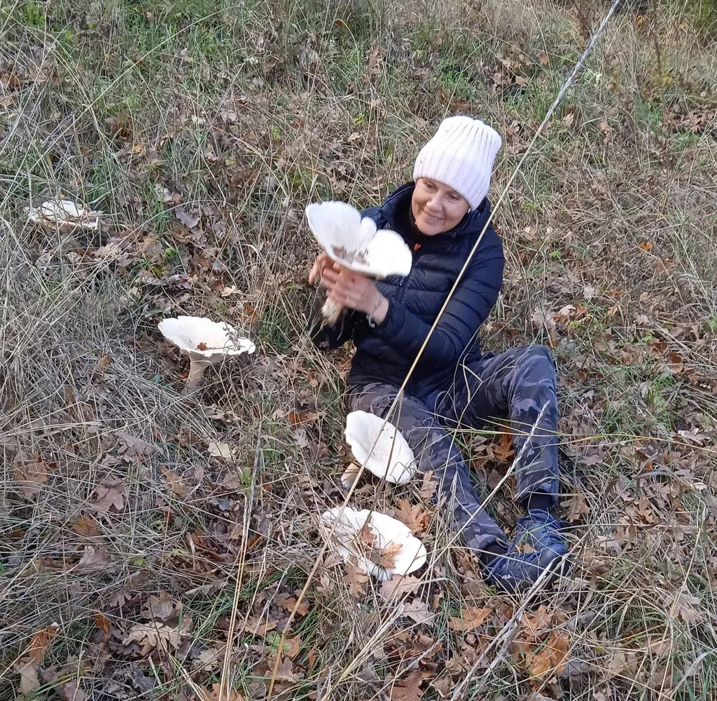 По грибы с лукошком