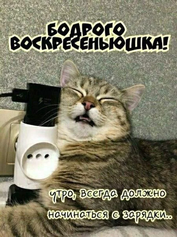 Кафе "У пани Сони"
