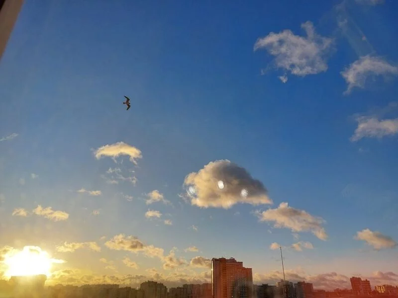 Такое разное небо