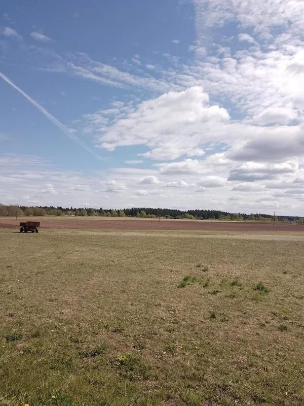 Такое разное небо