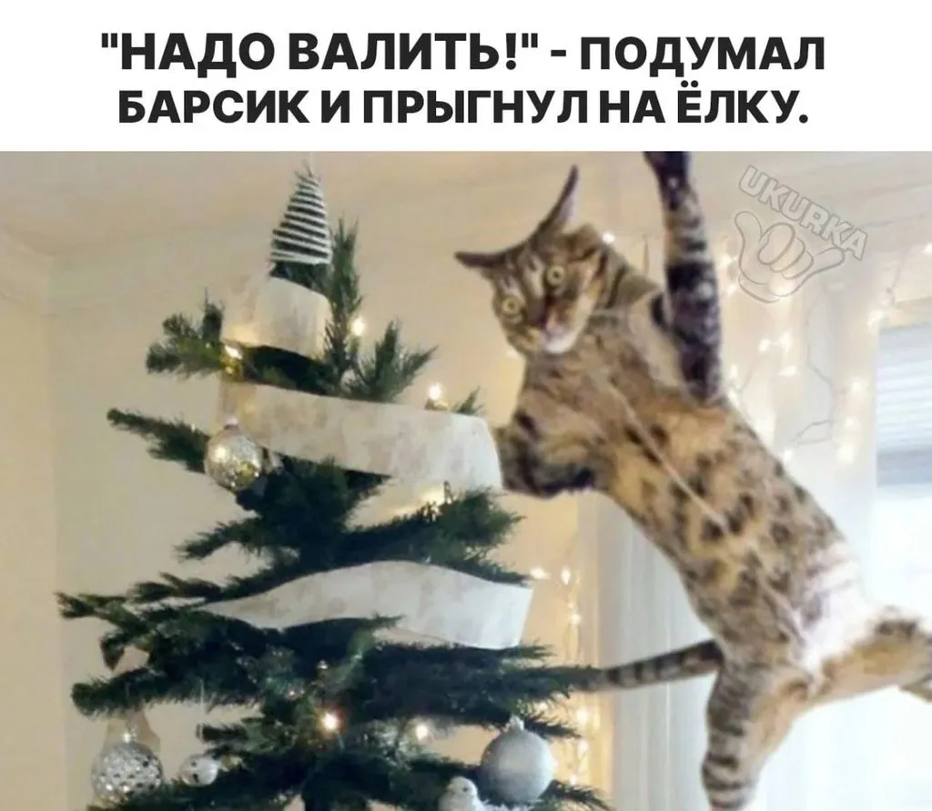 Посмеялся сам - поделись с другом!!!