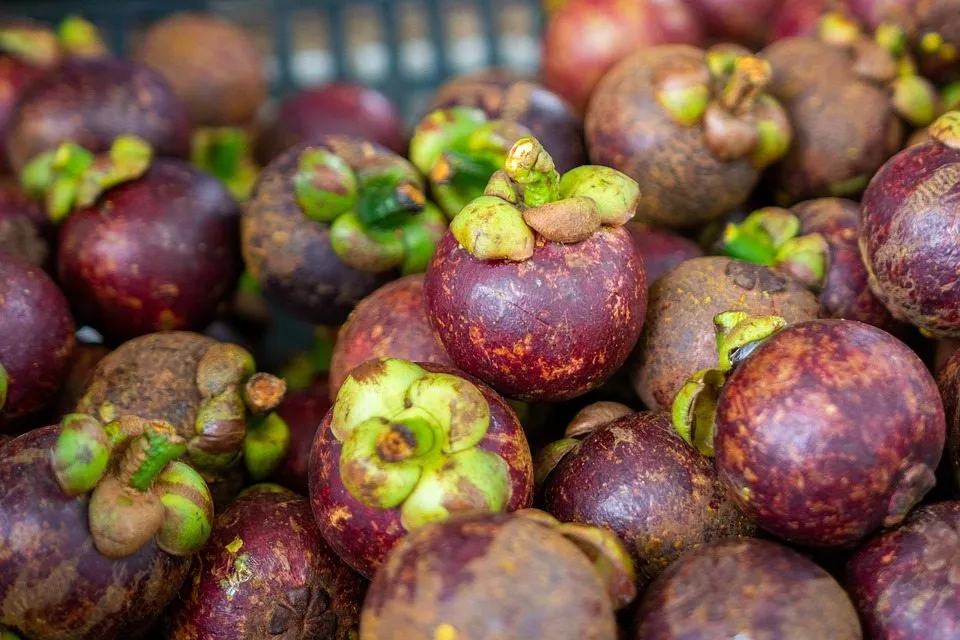 12 вкуснейших тропических фруктов