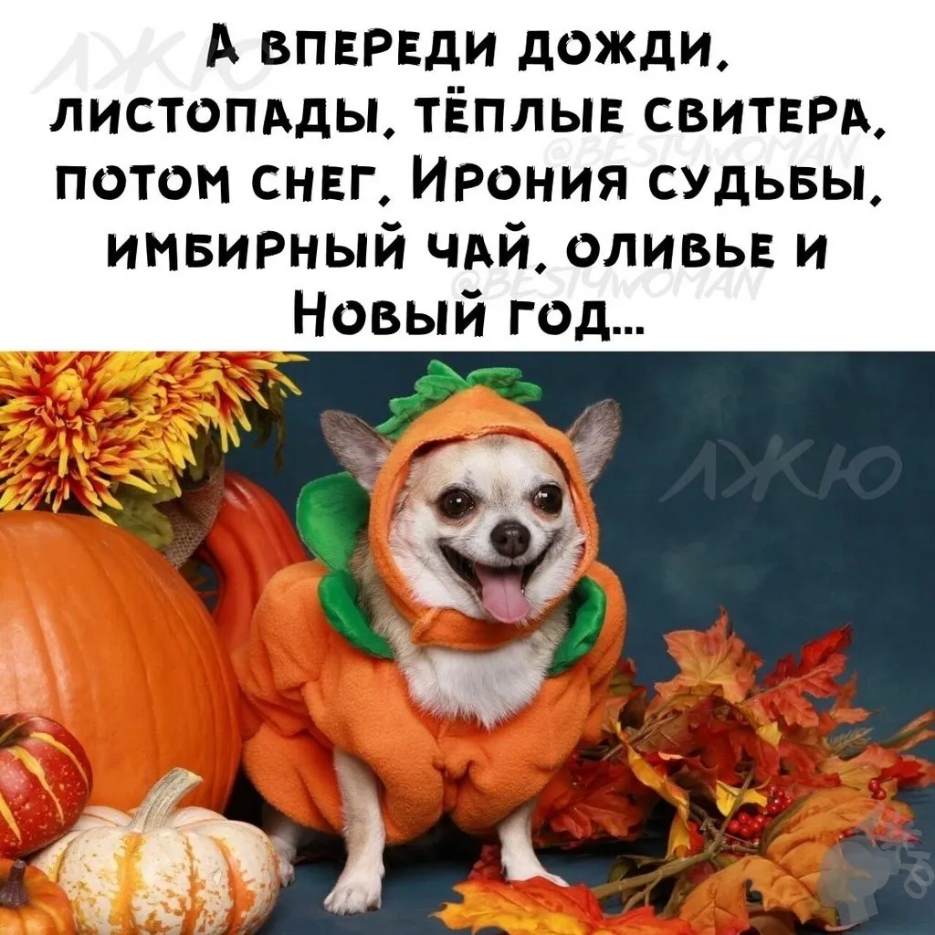 Кафе "У пани Сони"
