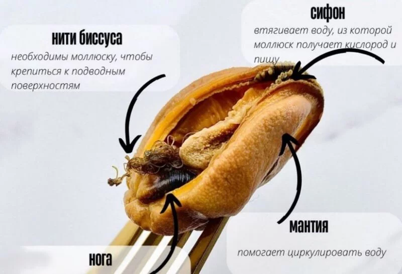Это интересно!