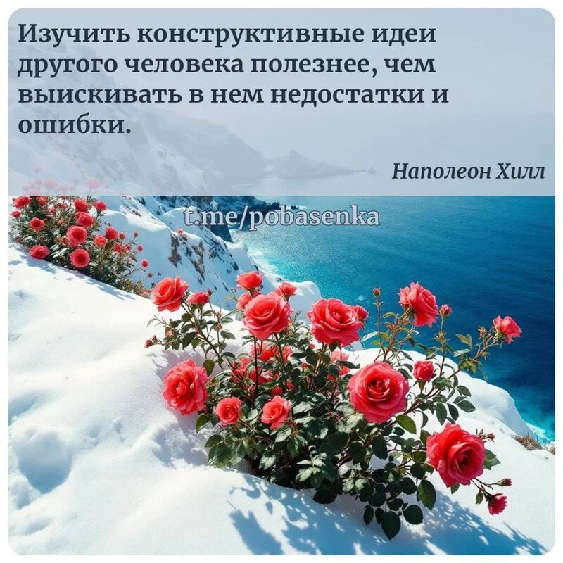«Изучить конструктивные идеи другого человека полезнее, чем выискивать в нем недостатки и...» height="550" width="550"