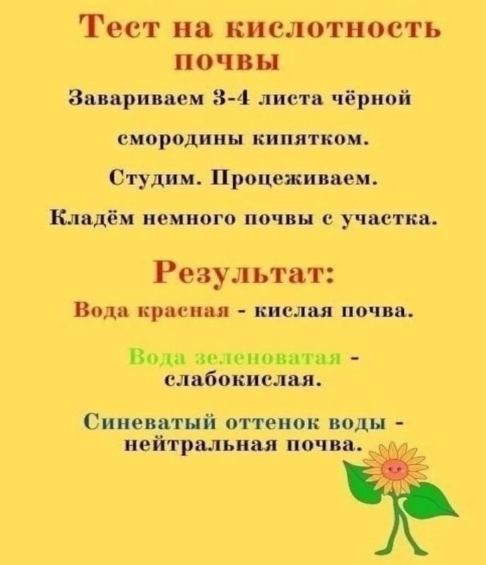 Садово-огородная  инфографика