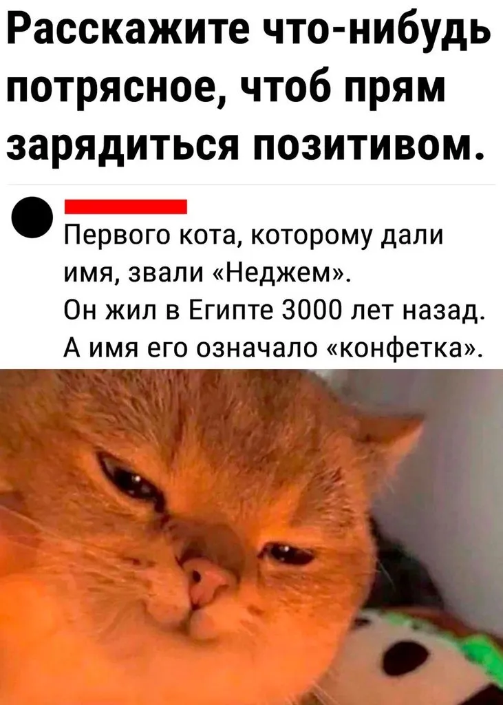 Кафе "У пани Сони"
