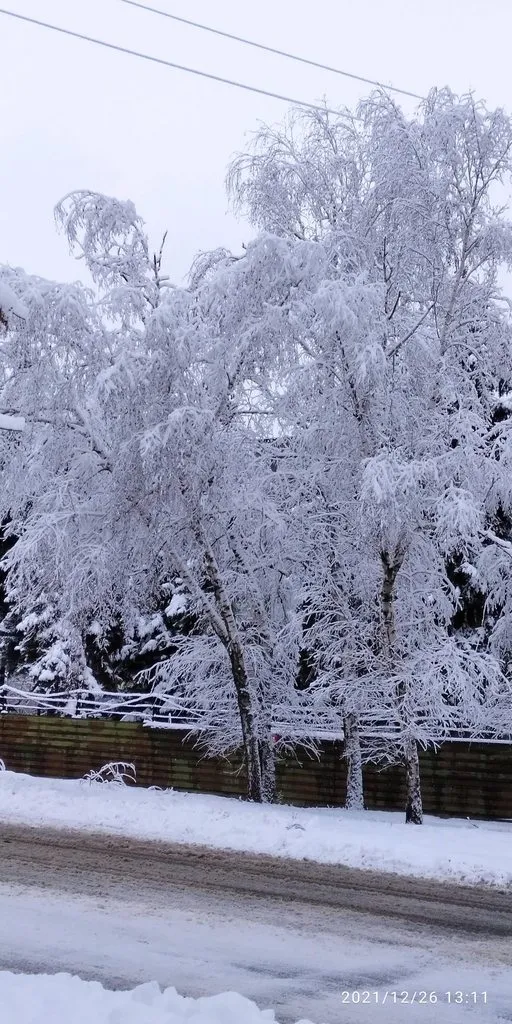 Чайная беседка