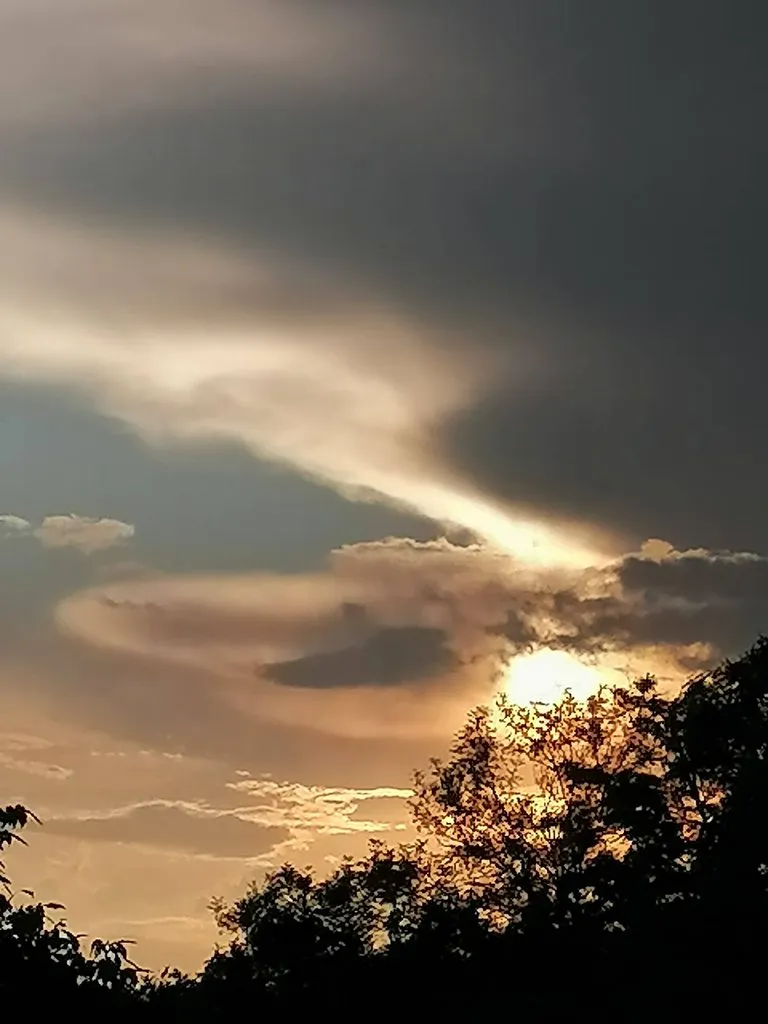 Чайная беседка