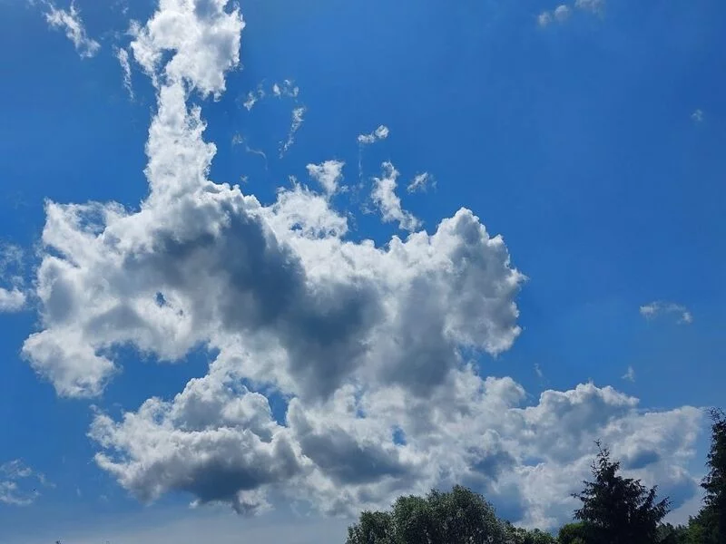 Такое разное небо