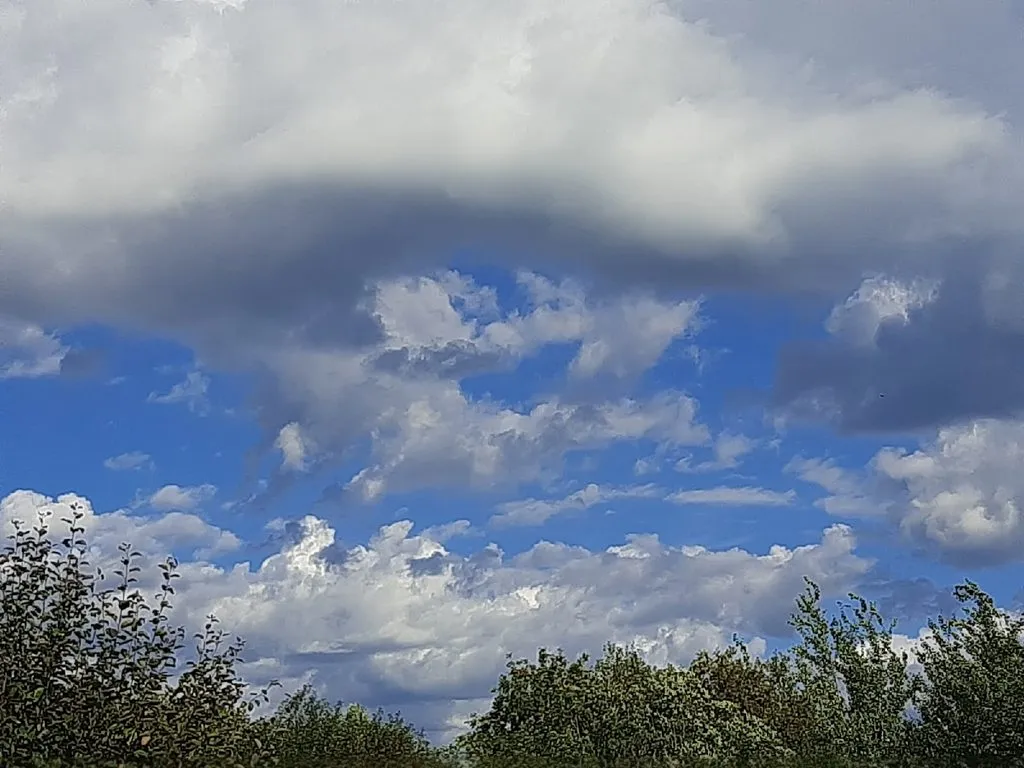 Такое разное небо