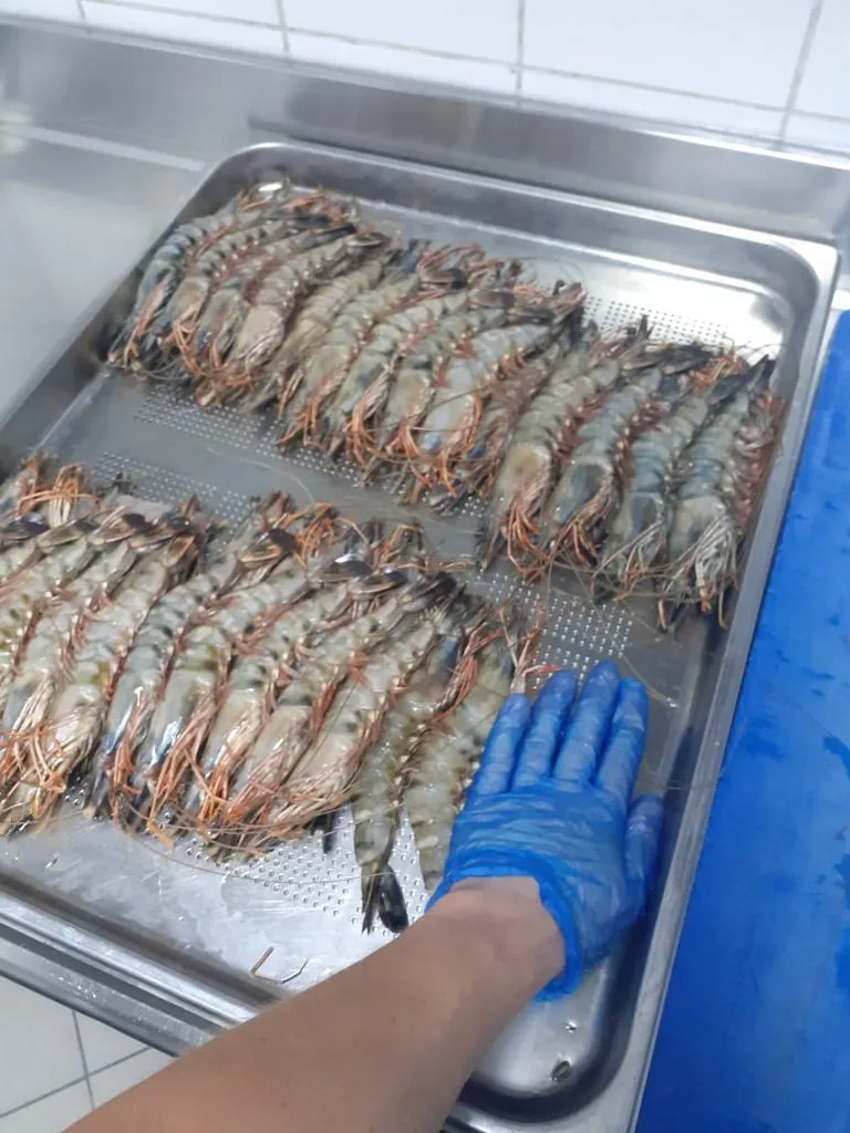 Где, что и когда купить в Москве