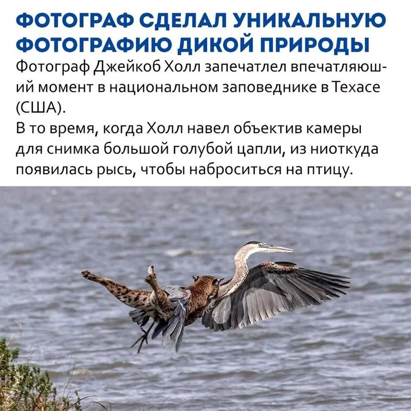 Это интересно!