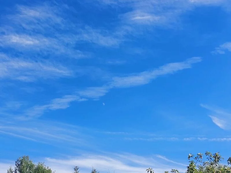 Такое разное небо